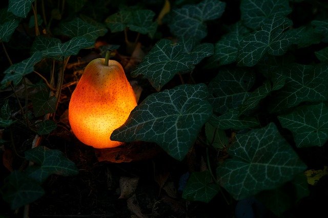 Comment choisir l’éclairage de son jardin?