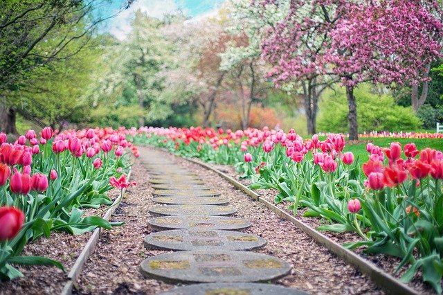 Le jardin pour un lieu d’apaisement assuré